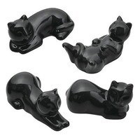 ���u���@�l�R�@�S�Z�b�g