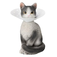 �A�N�Z�T���[�X�^���h�@�s�A�X�z���_�[�@�L�@�n�`����