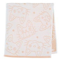 �t�F�C�X�^�I���@�G�{�@�L�����N�^�[�@�m���^��