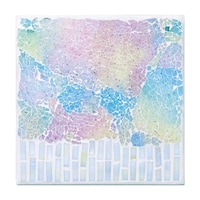 �K���X�v���[�g�@�Q�O�~�Q�O�����@���U�C�N�@���~�G�[���@�q�a