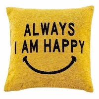 �N�b�V�����J�o�[�@�J�����@�n�b�s�[�@�S�T�~�S�T�����@�C�G���[