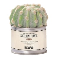 �t�F�C�N�O���[���@�s�h�m�T�L�������g�@���G�}�@�{�[��