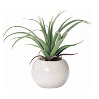 �t�F�C�N�O���[���@���E���h�|�b�g�@�G�A�v�����c