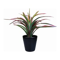 �t�F�C�N�O���[���@�u���b�N�|�b�g�s�r�@�h���Z�i