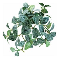 �l�H�ϗt�A���@�t�B�b�g�j�A�@�P�W����