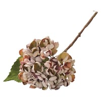 ���ԁ@�n�C�h�����W�A�u�b�V���@���G�}�@�Z�s�A