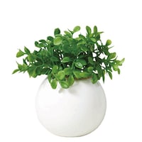 �t�F�C�N�O���[���@���E���h�|�b�g�k�@�v���y�b�g