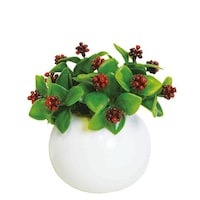 �t�F�C�N�O���[���@���E���h�|�b�g�k�@�}���x���[