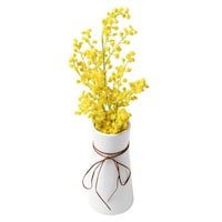 �t�F�C�N�O���[���@�~���U�@�����O�|�b�g