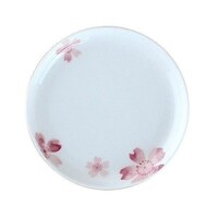 ���M�@���@�~�j�v���[�g�@�P�O�����@�{�[���`���C�i