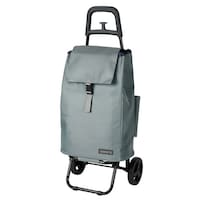 �V���b�s���O�J�[�g�@�������������@�O���[