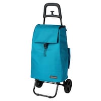 �V���b�s���O�J�[�g�@�������������@�u���[