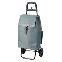 �V���b�s���O�J�[�g�@�������������@���V�A�@�O���[