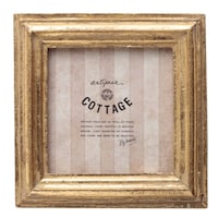 �t�H�g�t���[���@�X�N�G�A�t�H�g�t���[���@�S�[���h