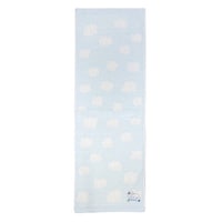 �t�F�C�X�^�I���@�Q�T�~�V�O�����@�u���[