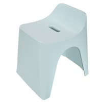 ���C�֎q�@�q���[�o�X�@�O���C�b�V���u���[