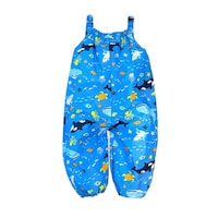 �J��@�㉺�@�L�b�Y�@�}�����v���C�E�F�A�@�u���[