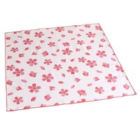 �����`�N���X�@�S�T�~�S�T�����@���{���@��