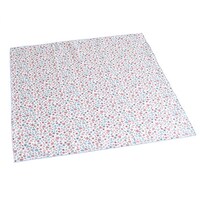 �����`�N���X�@�S�T�~�S�T�����@���{���@���Ԃ`