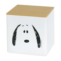 ���^�e�B�b�V���P�[�X�@�X�k�[�s�[�@�A�C�{���[