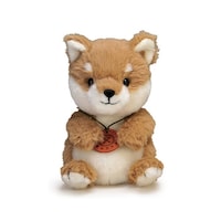 �ʂ�����݁@�����������@�Č�