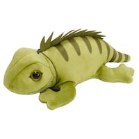 �ʂ�����݁@�����������@�C�O�A�i