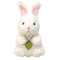 �ʂ�����݁@�����������@�A���S���E�T�M