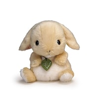 �ʂ�����݁@�����������@���b�v�C���[