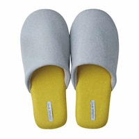 �X���b�p�@�f�B�W�����@���[���V���[�Y�@�r�@�O���[