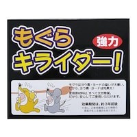 ���O���p�����܁@������@�L���C�_�|�@���̓^�C�v