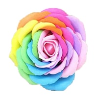 �F���܁@���C���{�[�t���O�����X�@���ԁ@�p�X�e��