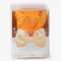 �\�[�v�t�����[�@�o���������@�����܁@�I�����W