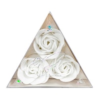 �Ό��@�g���C�A���O�����[�Y�@�p�E�_�[�z���C�g