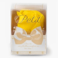 �\�[�v�t�����[�@�o���������@�����܁@�C�G���[