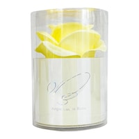 �Ό��@�T�[�N�����[�Y�@�y�[���C�G���[