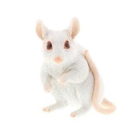 �K�[�f���I�[�i�����g�@�n�c�J�l�Y�~�@�`