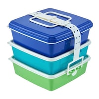 ���ٓ����@�s�N�j�b�N�P�[�X�@�u���[