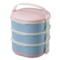 ���ٓ����@�s�N�j�b�N�P�[�X�@�s���N