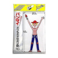 �|���܁@����@�G�ߎ��[�܁@�o���U�C���傫�ȃ|����