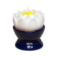 ���[�\�N�@�@�̉ԁ@��@�z���C�g�@�C��t�@�Q�S����