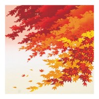 ���C�~�@���ٓ��@�T�O�����@�ȏ��ӂ낵���@�H