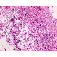 �P�D�O�X�Q�P�V�D�O�T�O�O�@�O�����E�T�t��