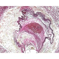 �P�D�P�T�X�V�S�D�O�O�O�Q�@�G���X�`�J�E��