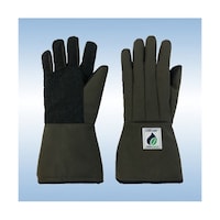 �k�m�f�p�O���[�u�@���S�h���~�b�h�A�[���^