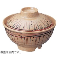 �ђ��q�i�g�j�����̗��@���F�@�x�g�|�T�O�O