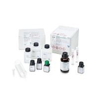 �P�D�O�O�U�V�V�D�O�O�O�P�@�X�y�N�g���N�@