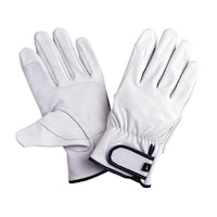 �����C���W���[�@�A�e�c�L�@�P�o�@�l�@�Q�Q