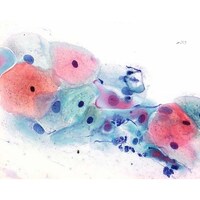 �P�D�O�X�Q�V�P�D�O�T�O�O�@�p�p�j�R���E��