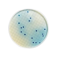 ���|�e�b�t�̔|�n�@�A���v���Q���k�@���֐�