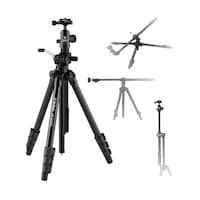 �O�r�@�u�r�|�T�S�R�`�r